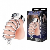 Серебристая клетка для члена Urethral Play Cage - BlueLine - купить с доставкой в Кургане