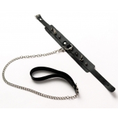 Черный ошейник с шипами и поводком - Crazy Handmade - купить с доставкой в Кургане