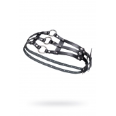 Черный кожаный пояс с кольцами - Pecado - купить с доставкой в Кургане