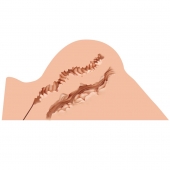 Мастурбатор-полуторс Naked Factory Hannah - Naked Factory - в Кургане купить с доставкой