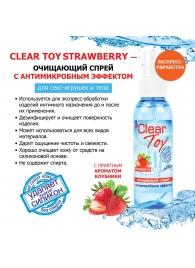 Очищающий спрей для игрушек CLEAR TOY Strawberry - 100 мл. - Биоритм - купить с доставкой в Кургане