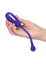 Фиолетовый шарик с электростимуляцией и вибрацией Intimate E-Stimulator Remote Kegel Exerciser - California Exotic Novelties - купить с доставкой в Кургане