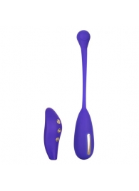 Фиолетовый шарик с электростимуляцией и вибрацией Intimate E-Stimulator Remote Kegel Exerciser - California Exotic Novelties - купить с доставкой в Кургане