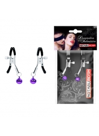 Оригинальные зажимы на соски с фиолетовыми шариками - Notabu - купить с доставкой в Кургане