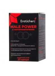 Капсулы для мужчин Erotichard male power с пантогематогеном - 20 капсул (0,370 гр.) - Erotic Hard - купить с доставкой в Кургане