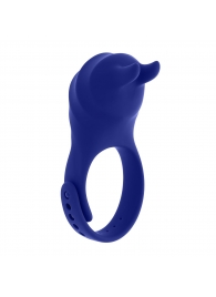 Синее эрекционное виброкольцо с клиторальной подушечкой и пультом ДУ Adjustable Fun Ring - Zero Tolerance - в Кургане купить с доставкой
