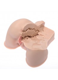 Мастурбатор-полуторс Naked Factory Kate - Naked Factory - в Кургане купить с доставкой