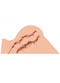 Мастурбатор-полуторс Naked Factory Hannah - Naked Factory - в Кургане купить с доставкой