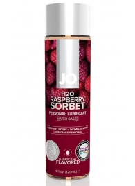 Лубрикант на водной основе с ароматом малины JO Flavored Raspberry Sorbet - 120 мл. - System JO - купить с доставкой в Кургане