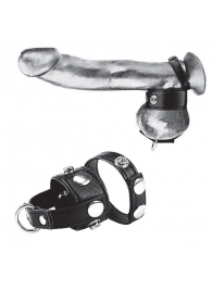 Утяжка для мошонки и пениса Cock Ring With 1  Ball Stretcher And Optional Weight Ring - BlueLine - купить с доставкой в Кургане