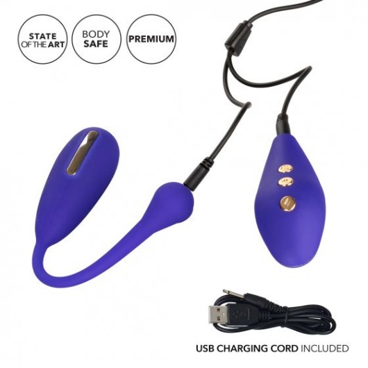 Фиолетовый шарик с электростимуляцией и вибрацией Intimate E-Stimulator Remote Kegel Exerciser - California Exotic Novelties - купить с доставкой в Кургане