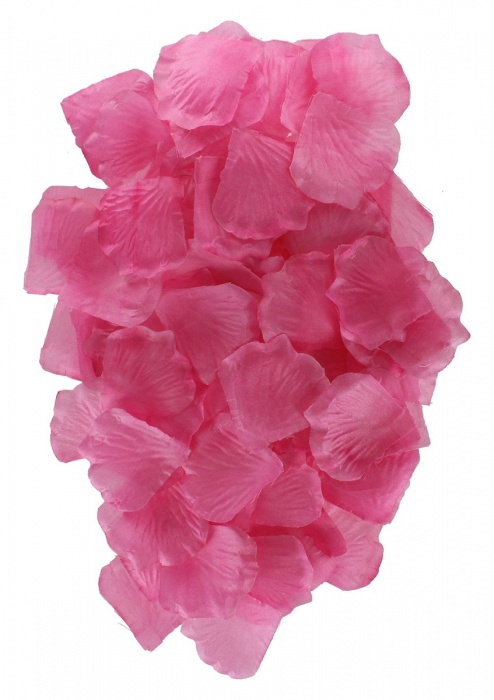 Эротический набор FANTASTIC PURPLE SEX TOY KIT - Toy Joy - купить с доставкой в Кургане