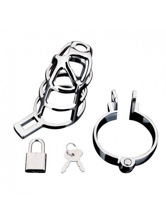 Серебристая металлическая клетка для члена с замком Enslave Cock Cage - BlueLine - купить с доставкой в Кургане