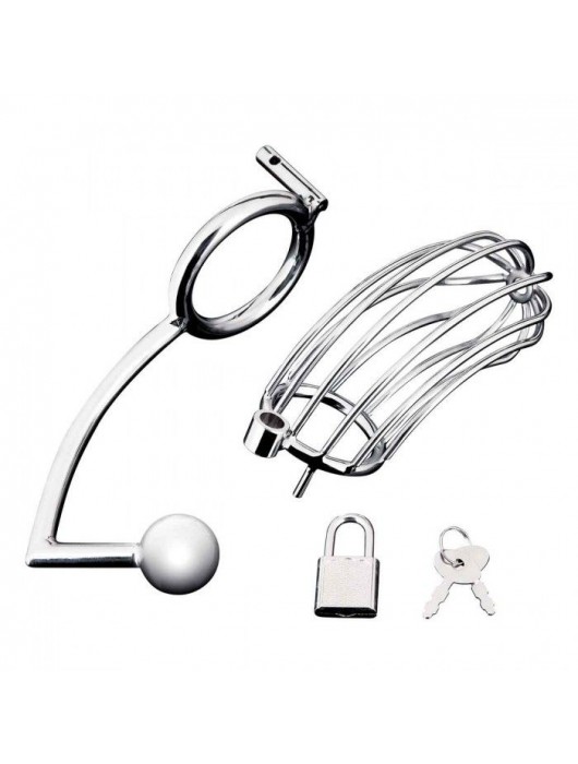 Серебристая металлическая клетка с анальным стимулятором Cock Cage - BlueLine - купить с доставкой в Кургане