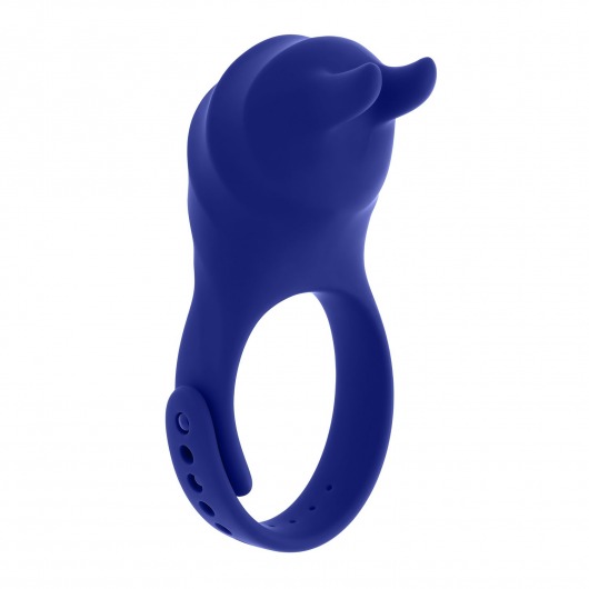Синее эрекционное виброкольцо с клиторальной подушечкой и пультом ДУ Adjustable Fun Ring - Zero Tolerance - в Кургане купить с доставкой