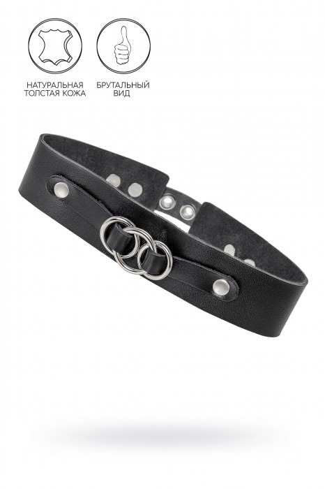 Черный чокер-ошейник со связанными кольцами на подложке - Pecado - купить с доставкой в Кургане