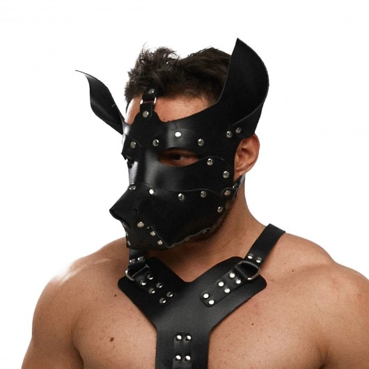 Черная кожаная маска «Собака» - Crazy Handmade - купить с доставкой в Кургане