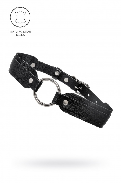 Черный кожаный чокер-ошейник со скруглёнными углами - Pecado - купить с доставкой в Кургане