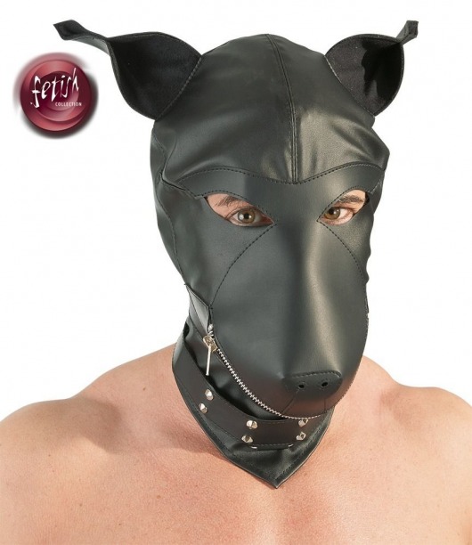 Шлем-маска Dog Mask в виде морды собаки - Orion - купить с доставкой в Кургане