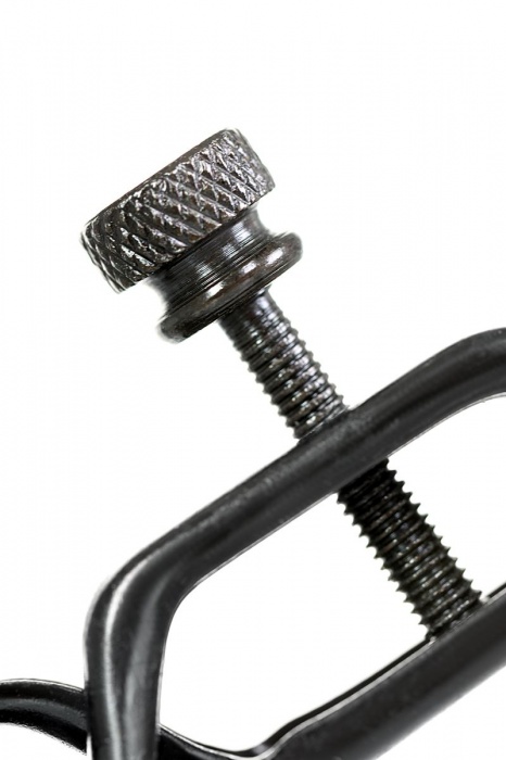 Черно-золотистые зажимы для сосков TOYFA Theatre - ToyFa - купить с доставкой в Кургане